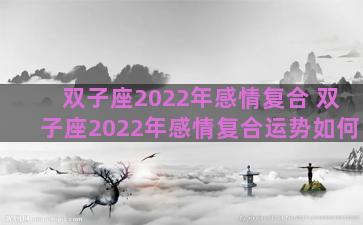 双子座2022年感情复合 双子座2022年感情复合运势如何